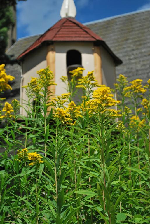 Camping Les Tournesols Sille-le-Guillaume Bagian luar foto